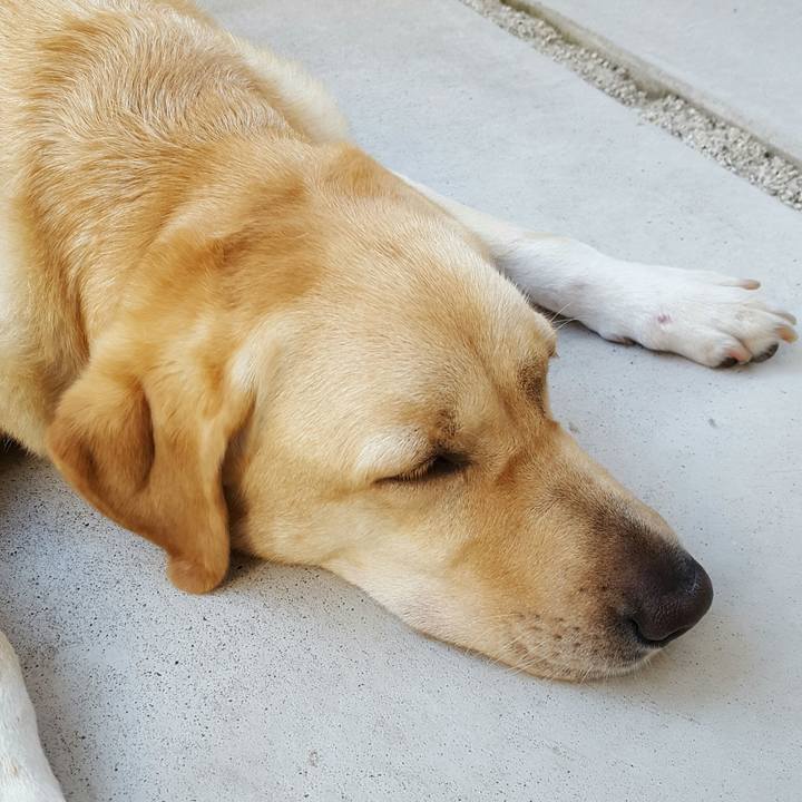 584a22bf 4363 4750 bd9c c619fed2febc