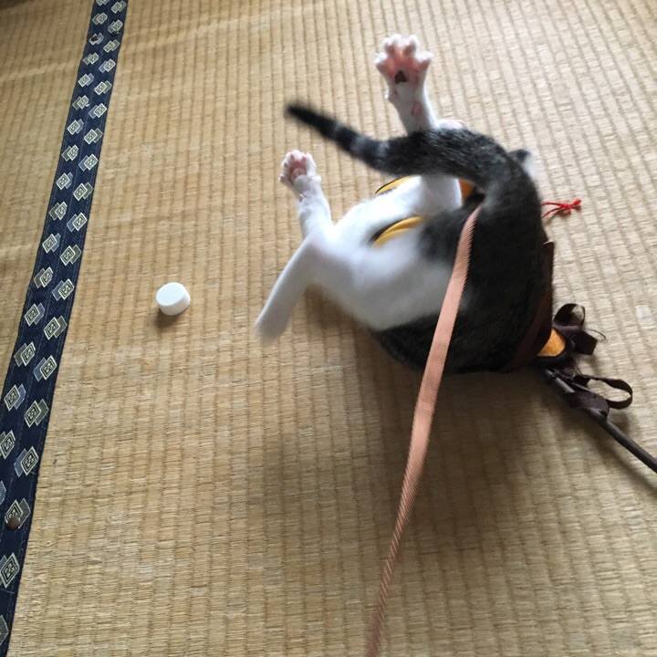 584a2635 d3b9 45b9 ad34 b15b7e647eb7