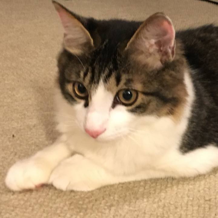 584bd484 1317 4ade b9d8 ecad1e410df6