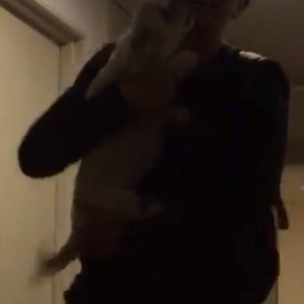 584c0d4a 259f 4aab abe0 b07272996bee