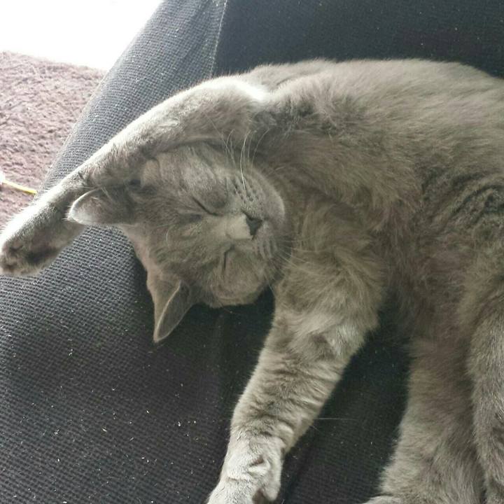 584c30cc 4cd3 4112 9ff2 693d1211dbc1