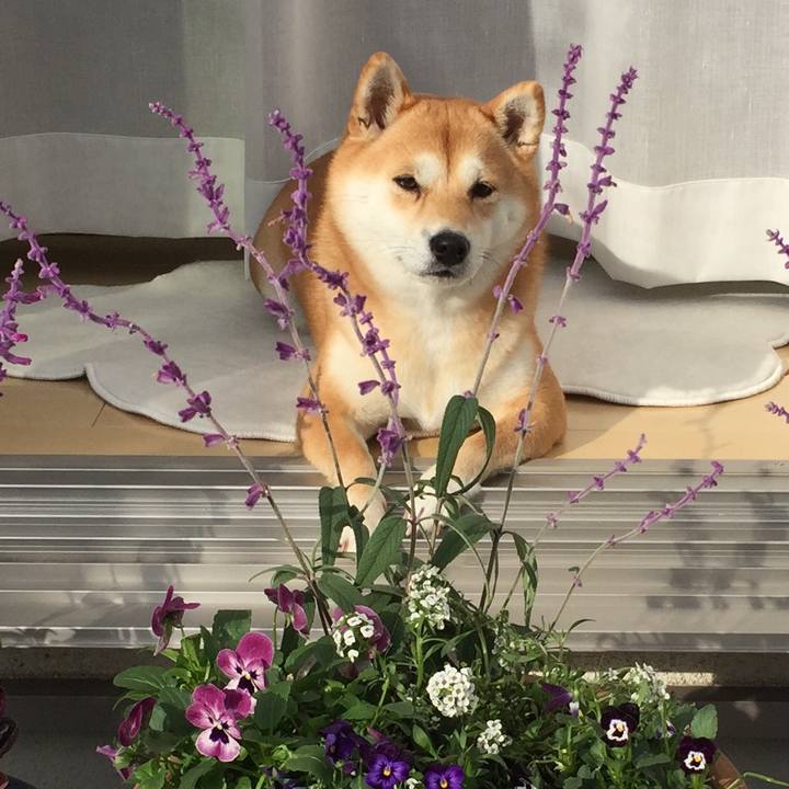 584c3c54 bd59 4913 bd7c 762118c17230