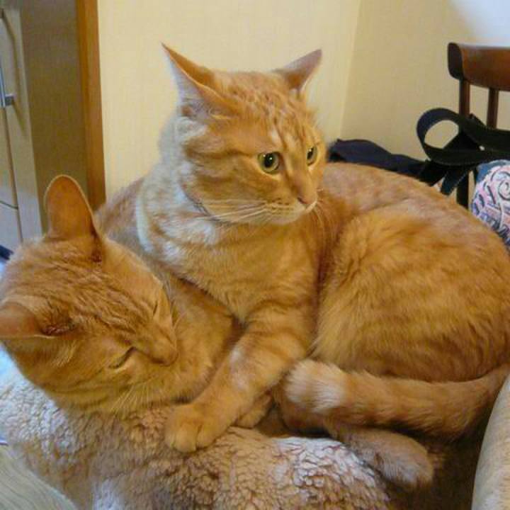 584c65b5 3328 4053 806c a0375811e0b1