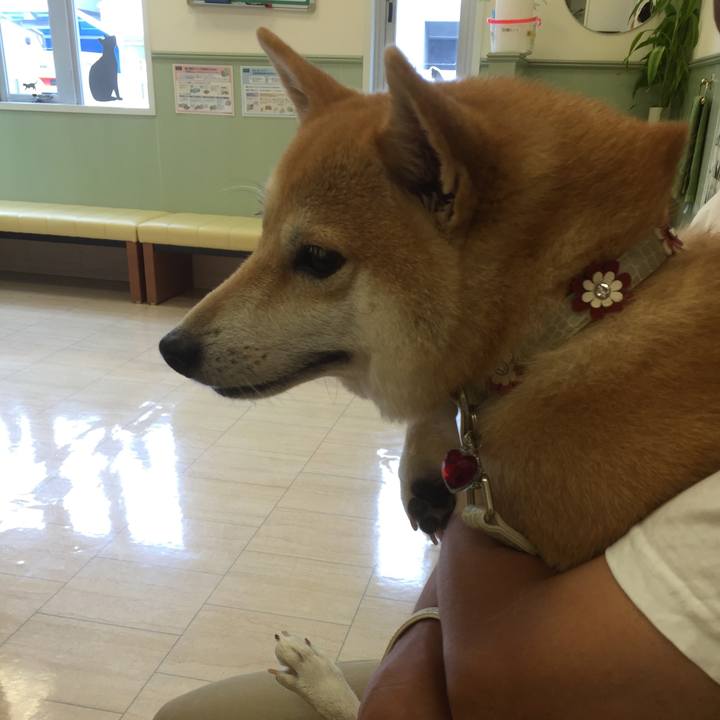 584ca1d8 9358 49da 9aef 30024d83bfff