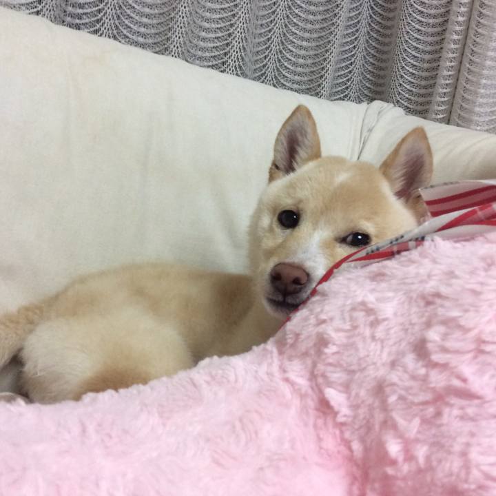 584ca3ed f7f4 4fd4 8aca 52eb63077a26