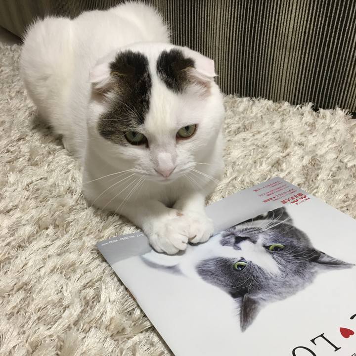 584cbef9 4b8e 4344 b04a 2cc69a5a2a46