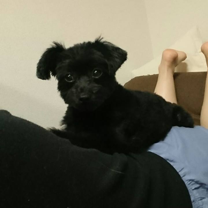 584cf52a 964d 4b66 8d00 539edf821ded