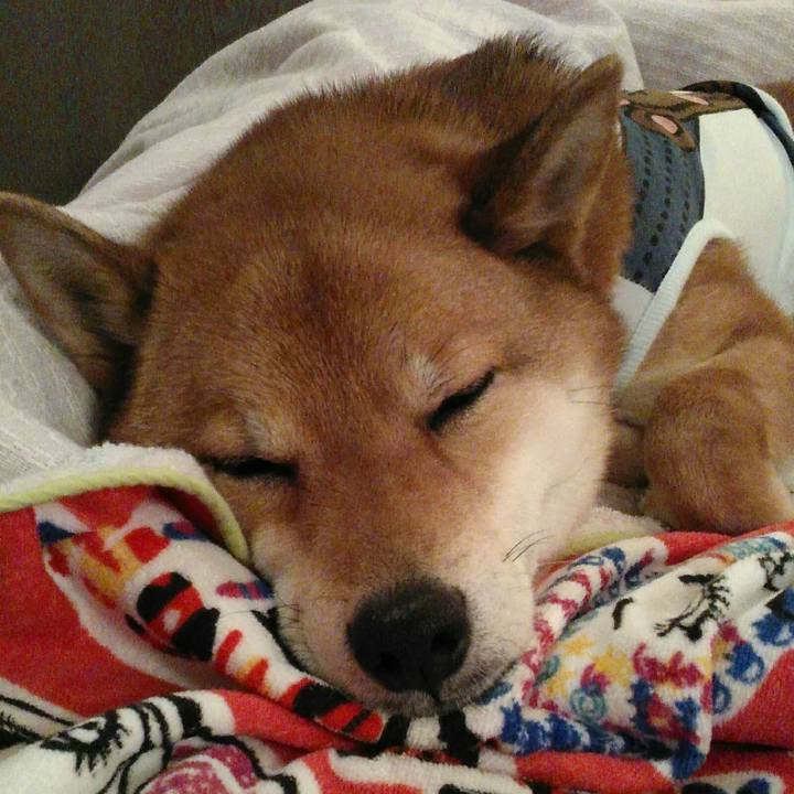 584d14fb 2f0f 4f96 8fdb 90fc52cc4bc2