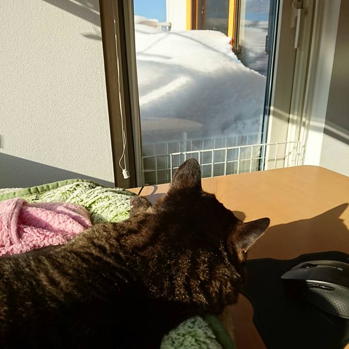 584d3b6c 9ed3 490d a80c ffd873c776da