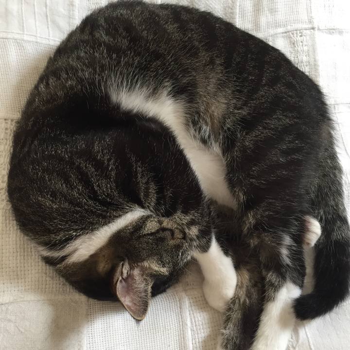 584d4cae 0fa1 4b4f 804f a4c5fc20609c