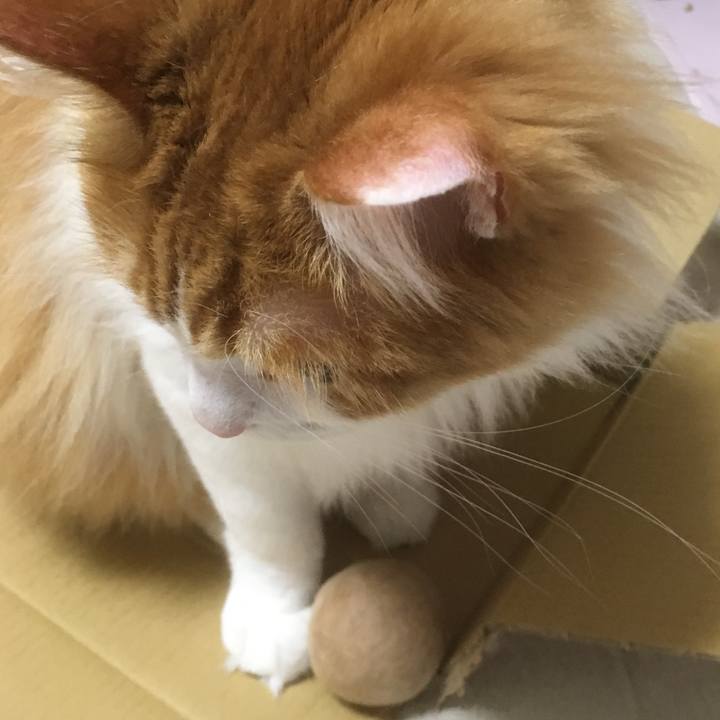 584e2230 e018 4c08 8ef3 370c137645a2