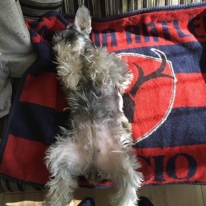 584e7cd5 3c9e 49f8 9e4a 2f339b2fcca9