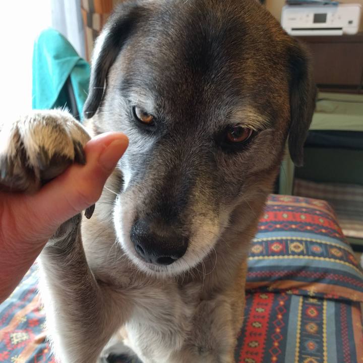 584efd47 bb95 402b a489 4cc1cd8435e2