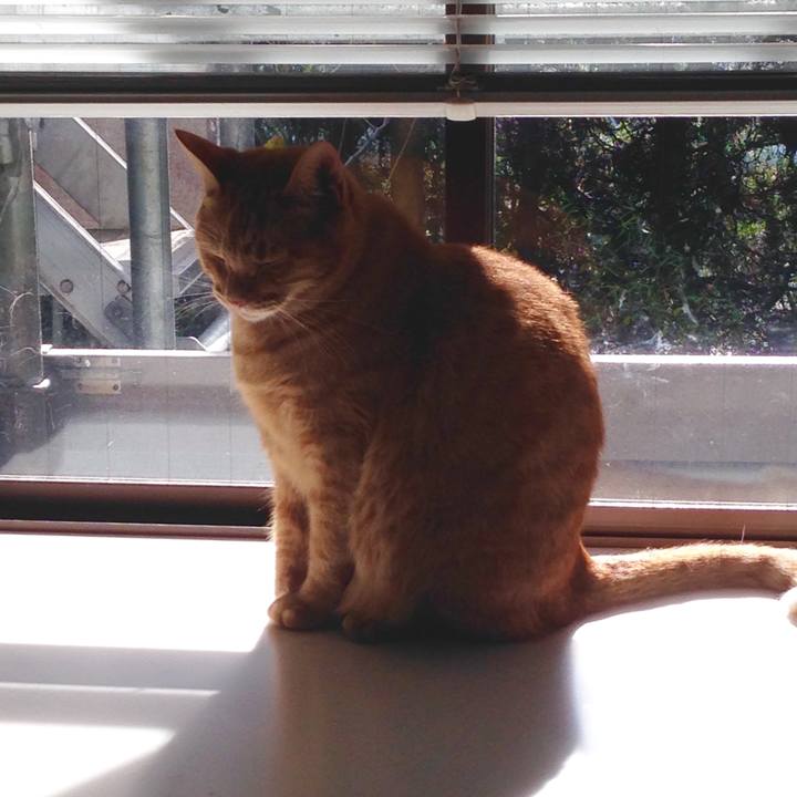 584fc671 c926 4207 a390 e3ee686be71b