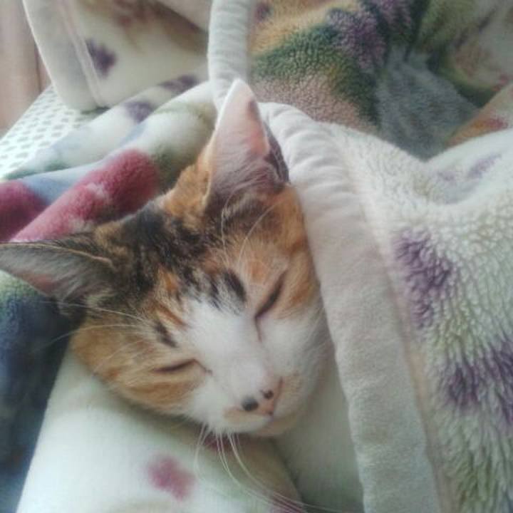 585147b4 831d 4399 b4fc 8ac2c13114fc