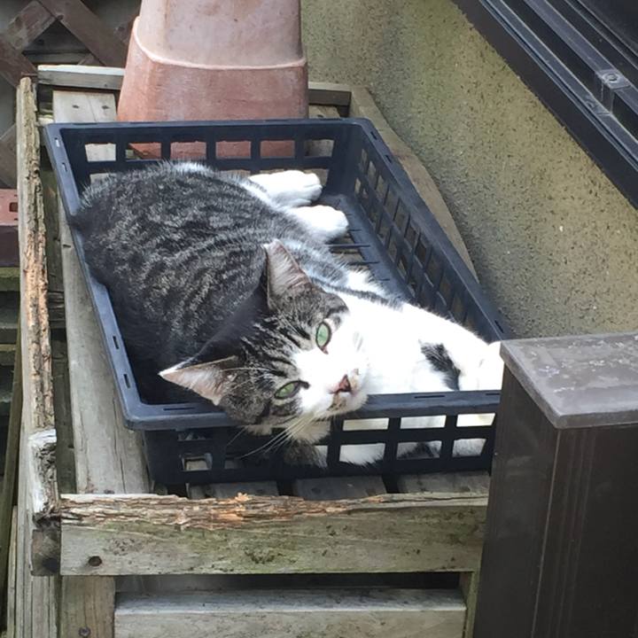 5851a887 7ab2 41ce 96b3 fa174ea4b9e6