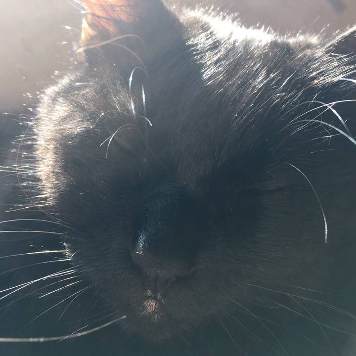 5852032e 9349 4626 aeac 6ff3b246205c