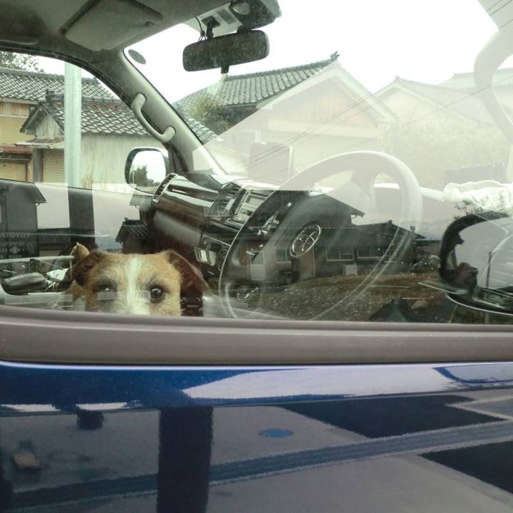 585203ca 371f 4677 83d2 b9ac5bab5ed6