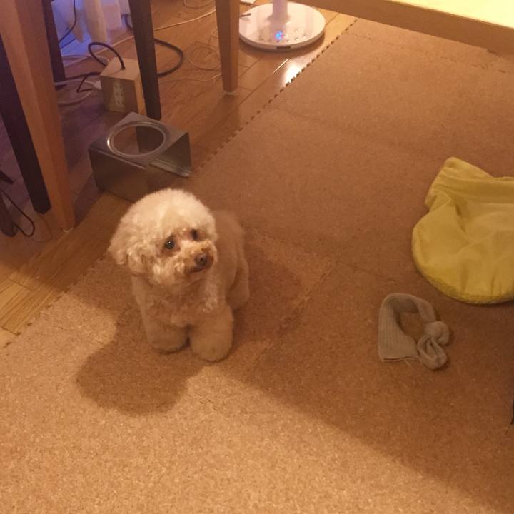 58523d15 8ea6 4831 8cc0 915a5a0d9fa9