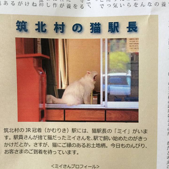 58524cec 0487 4c89 a452 3adf5e9809cf