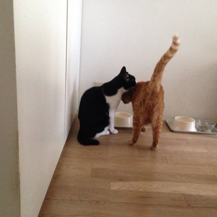 5852634e 6932 466b 992d b9f34dbd3e33