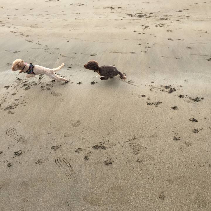 5852e6d3 5fd6 49c6 9021 029b71ea5850