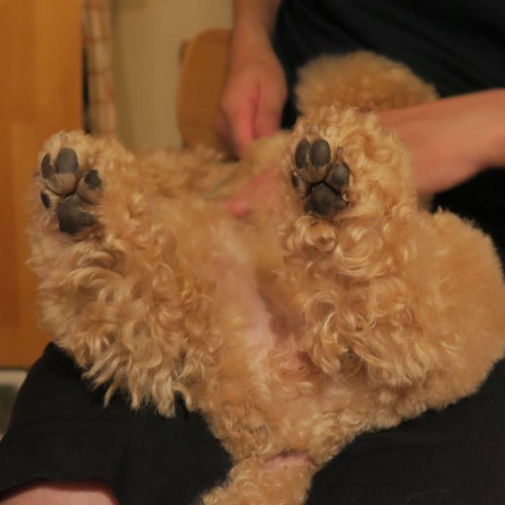 585322b6 133c 4107 8bad f196f33d5532