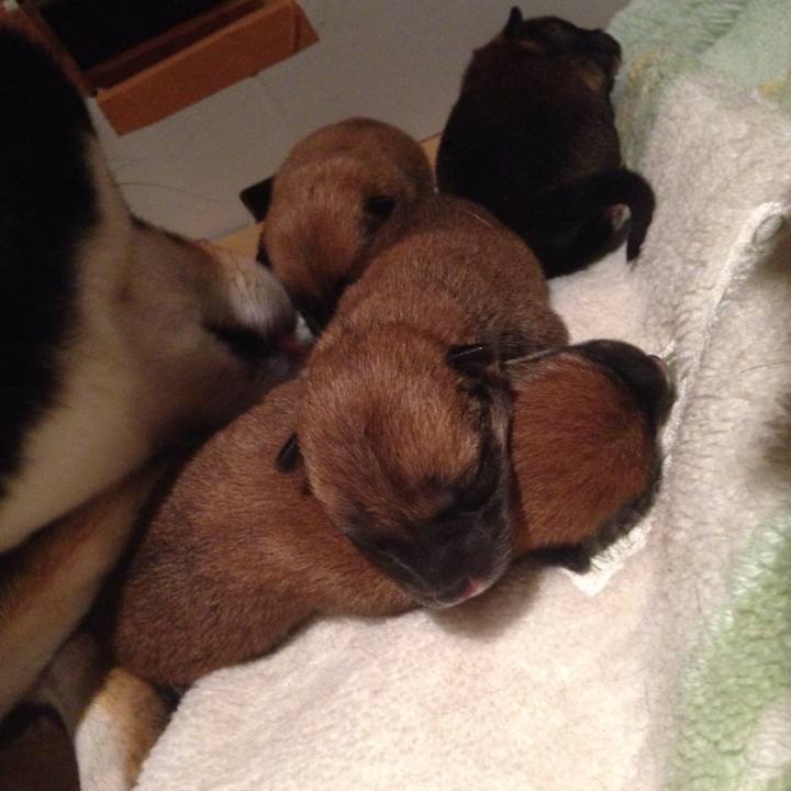 58539bea 15d1 4ffb 8ac7 7eec40e81d12