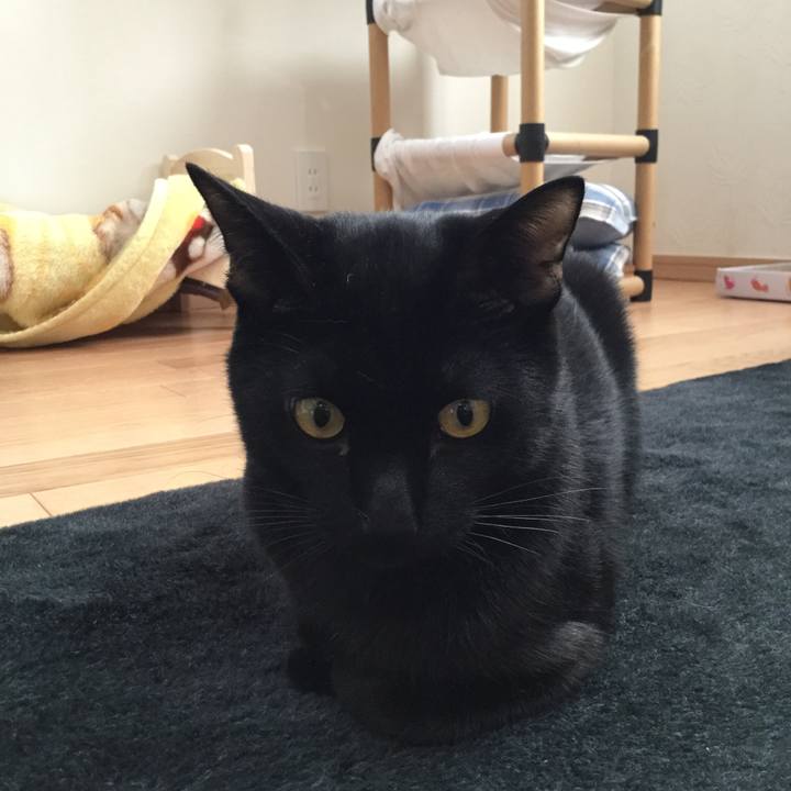 5853c878 8da1 4604 a7f6 fa10f69971d4