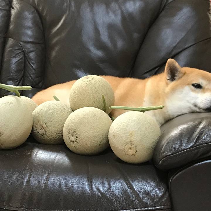 58543af3 0567 44a8 8205 9beb2fb4ebe0