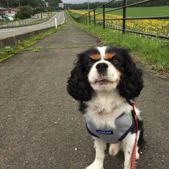 58543d61 6e20 4404 a0c0 5bf9b538d729