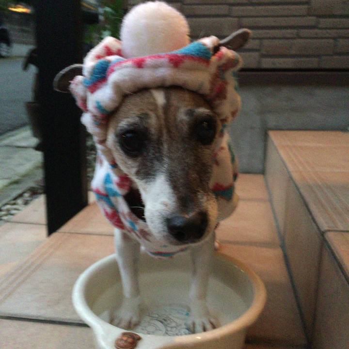 58545fba cd2d 4e2b 80cf 5b7ebf053f31