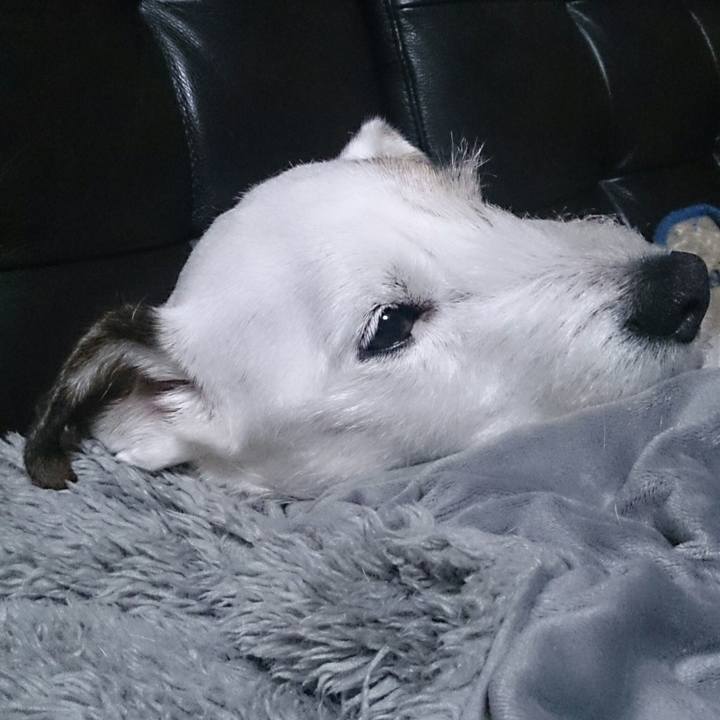 5854e2a3 a7a3 46ce 9243 de8ab8f636ef