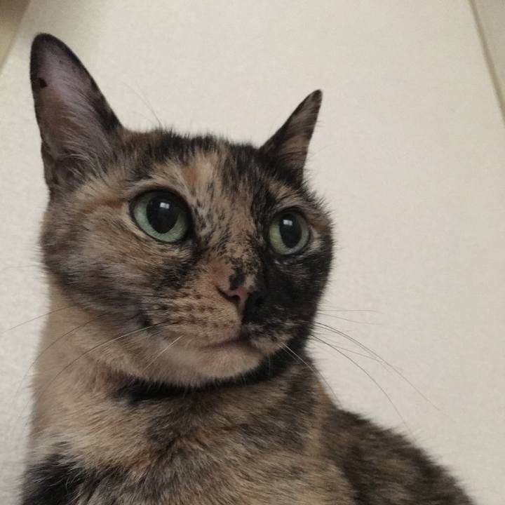 58550222 7204 416b af54 0922b4955cd0