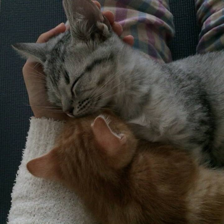 58552878 da80 4d2f 82ce f12ccae0cd2a