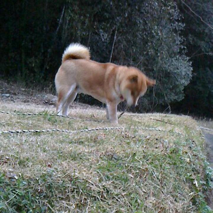 58553404 7cac 4ad9 80df 64e5fb57ffca