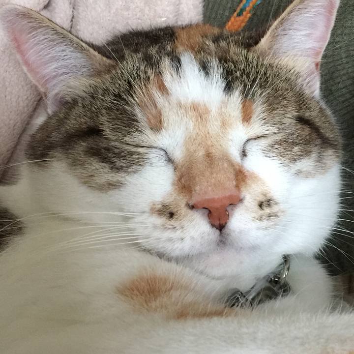 58555f9e 97a4 48ea 9714 def7d2e55abb