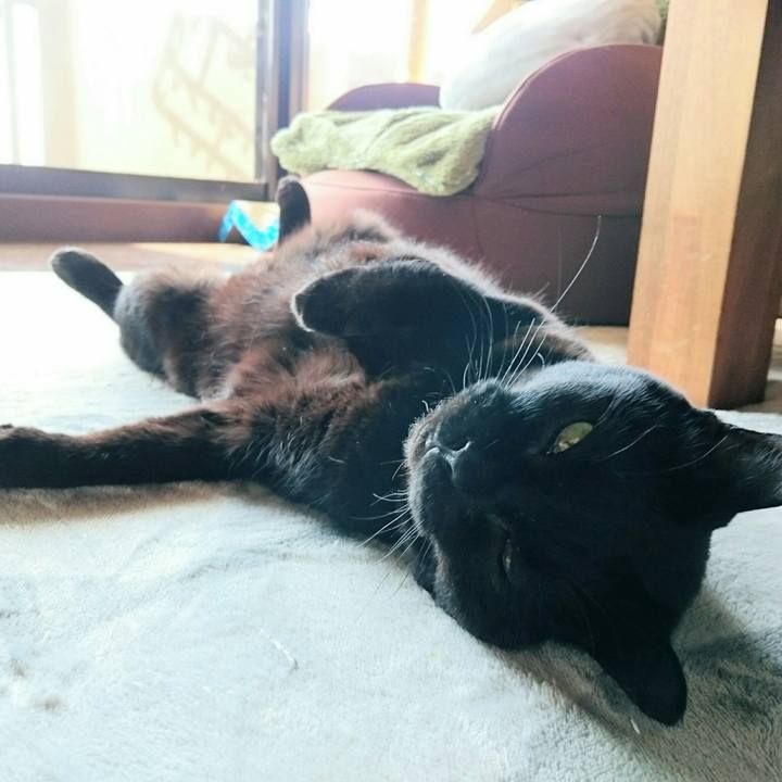 585593b1 e748 47c6 a6e5 e986c14c5148