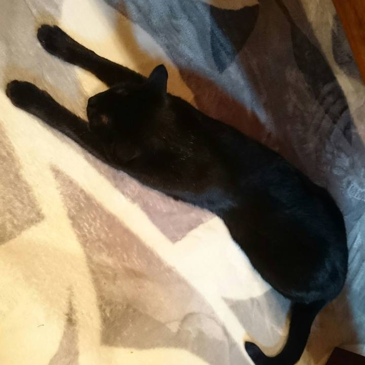 585636ce 95b4 443f afc5 58171c492949