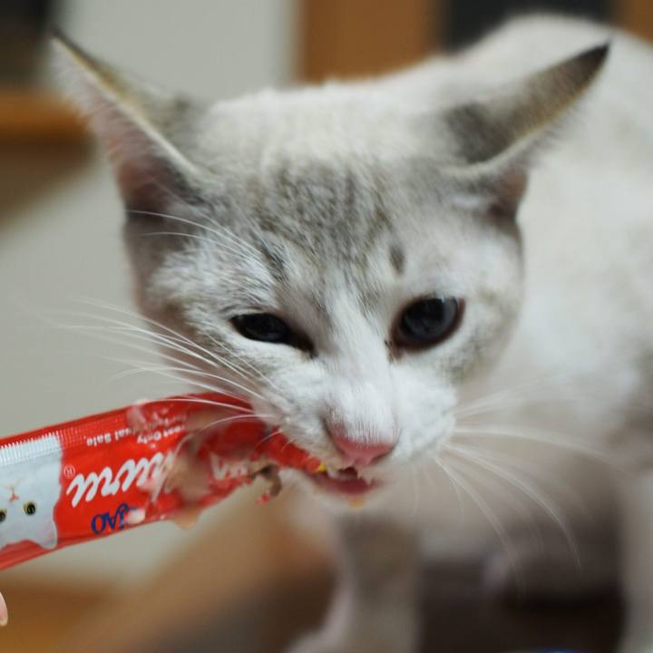 58563f04 3978 4f82 b838 1400a26f2d33