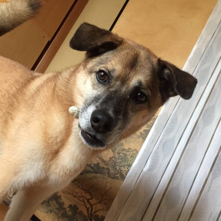 5856c02b b151 4bf3 a882 a13040a87ea2