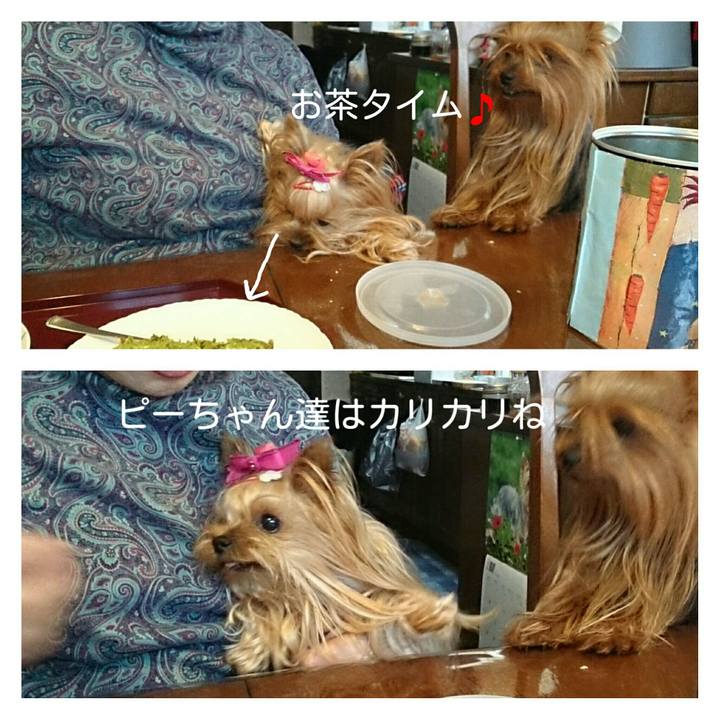 58570d2e 2a4a 421a 8445 bccd99fd3765