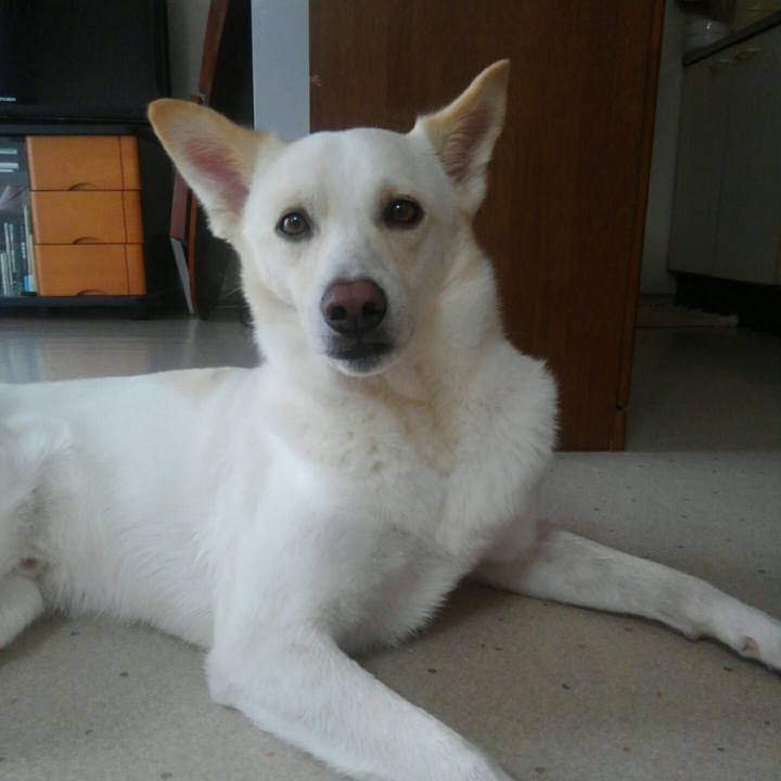 585779a2 3b7f 45ef a5bf dec057df63ae