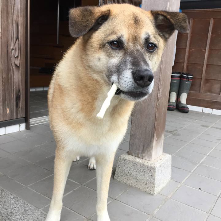 5857cdaa ada7 4c62 89e3 8ab090e49466