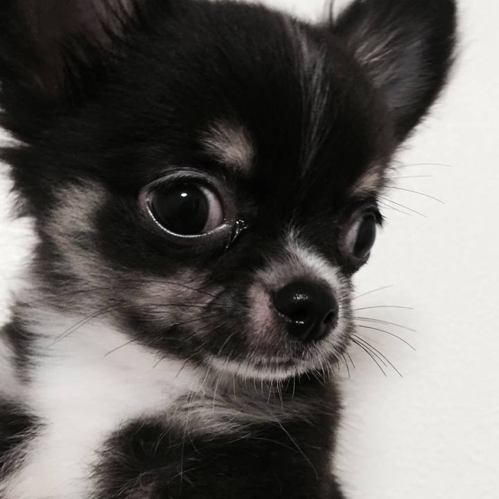 5857d3c7 697a 461c 90b7 39fcd79c4332