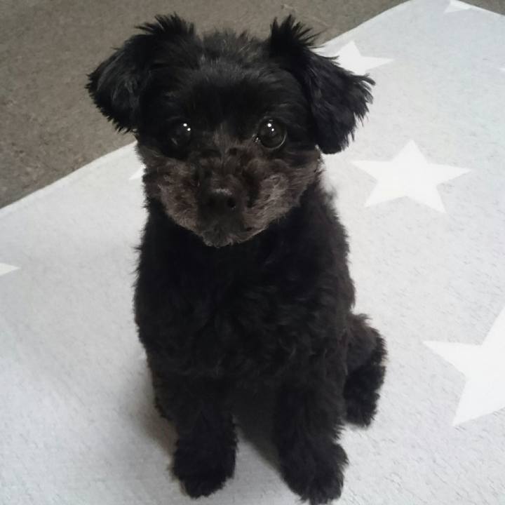 58589366 d1e8 44c2 b73c 029509cb5c15