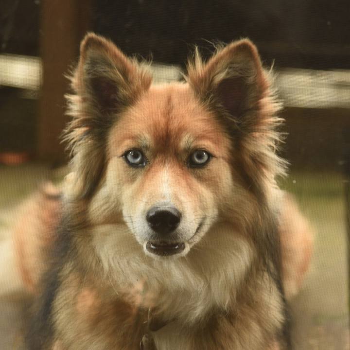 5858abc5 c701 465d aa2a 50a7fabf536b