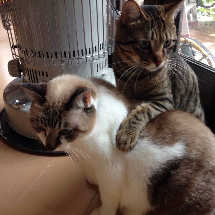 5858d3c9 c77e 4ecd b084 c026c4698661