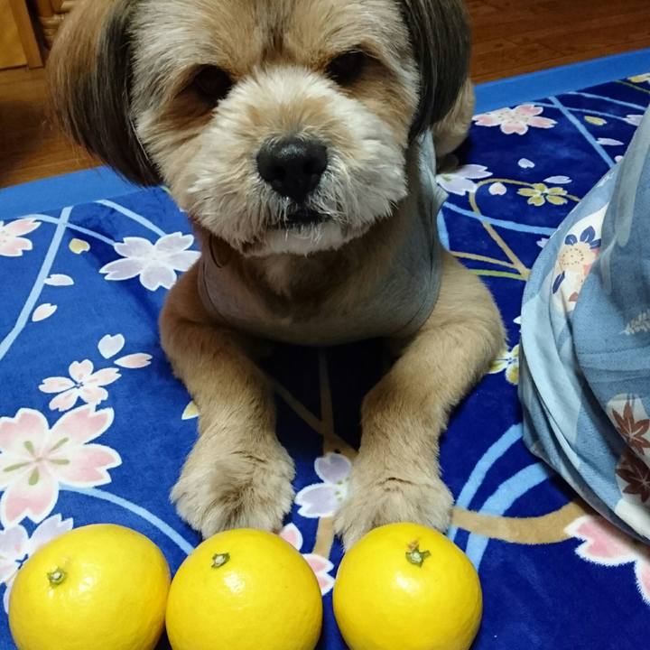 5858ebc0 8551 4360 ac90 a247ec88c7fc