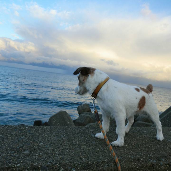 585923cd 3ad7 4a26 8dde af70df6f825d